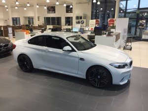 BMW M2 Kauf 26.10 (13).jpg
