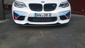 Schwarze Niere Doppelsteg oder Einfachsteg BMW Perfo
