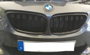 Schwarze Niere Doppelsteg oder Einfachsteg BMW Perfo