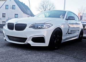 BMW-1er-F20-F21-Front-Umbau-2er-F22-Design-Tuning-Individual-Car-Consulting-03.jpg