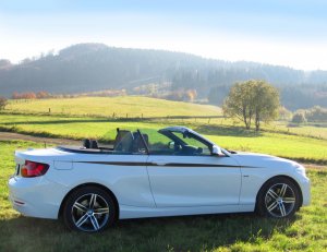 220d Cabrio 10x.JPG