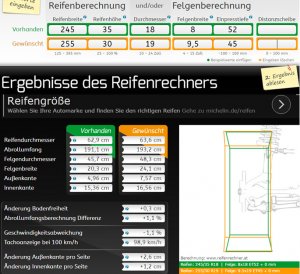 9,5x 255 19 mit ET45.jpg